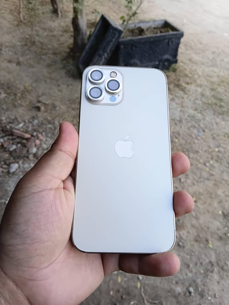 Apple iPhone 12 Pro Max 2