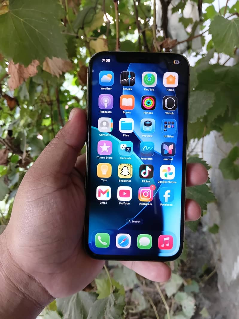 Apple iPhone 12 Pro Max 3