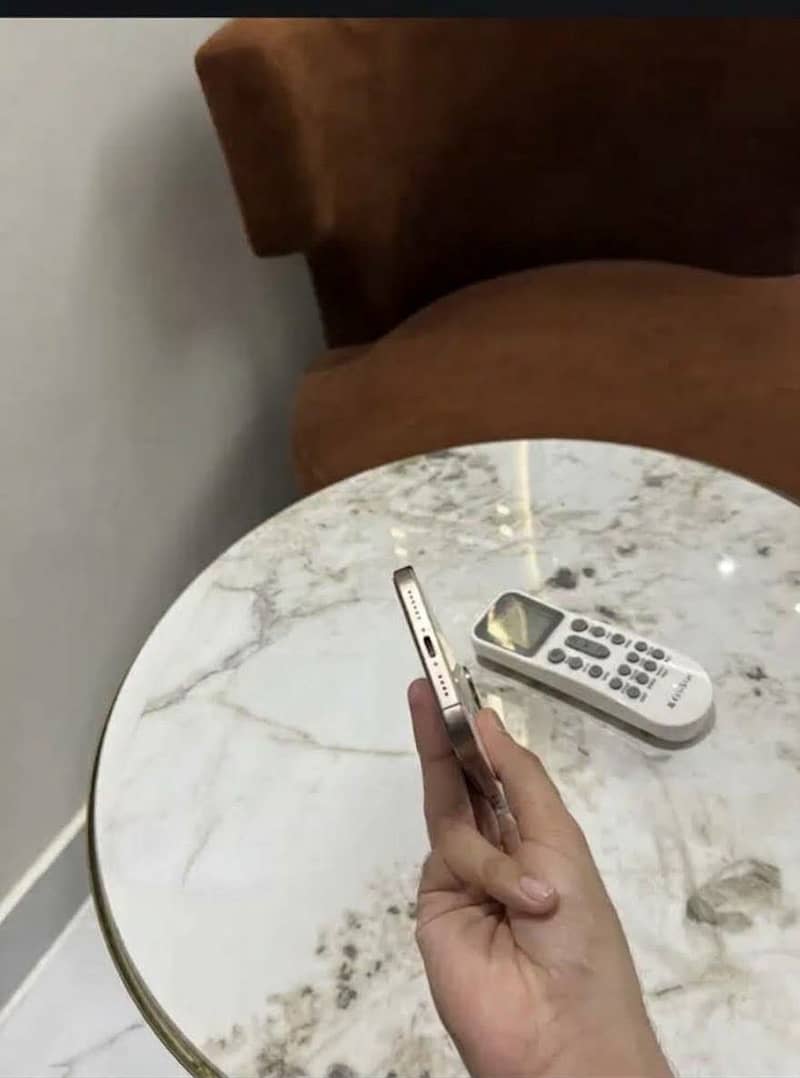 Apple iPhone 16 Pro Max 1