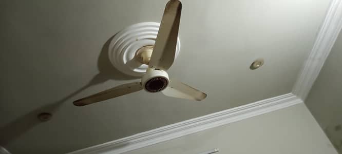 fans forsell