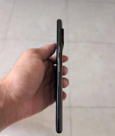 Google Pixel 6 Pro panel