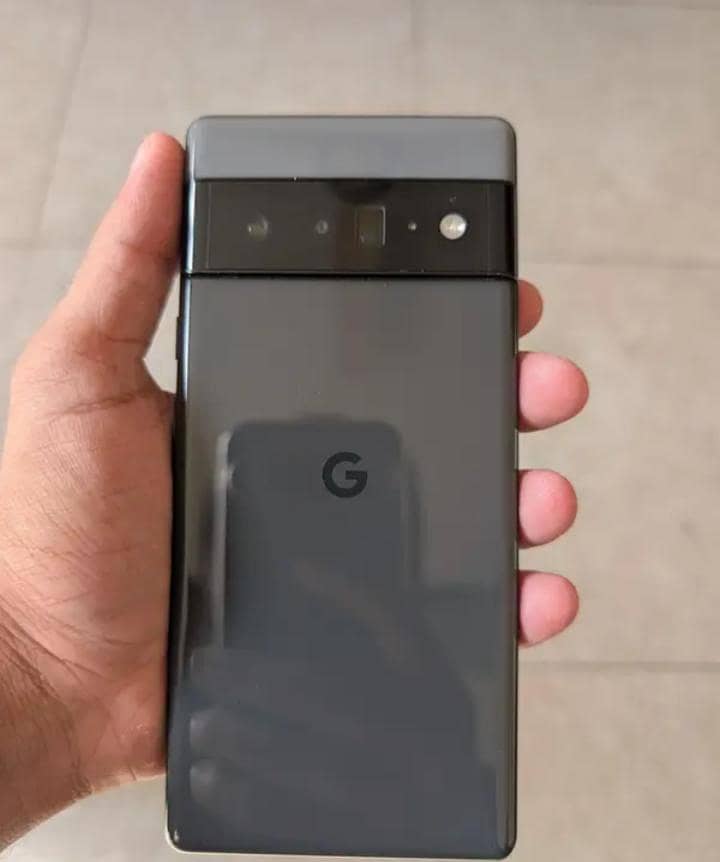 Google Pixel 6 Pro panel 1