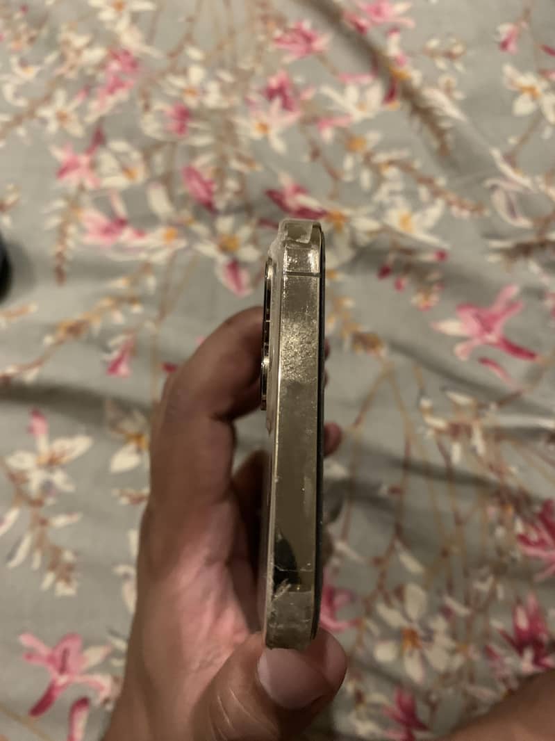 Apple iPhone 12 Pro Max 0