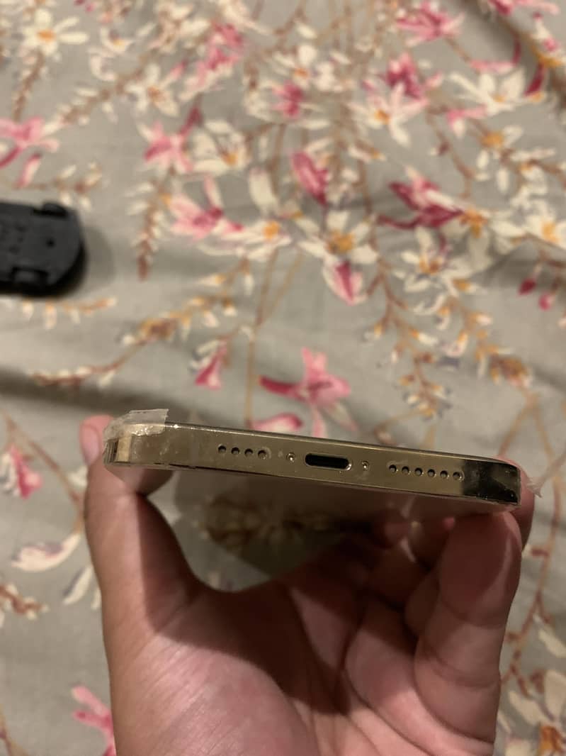 Apple iPhone 12 Pro Max 1