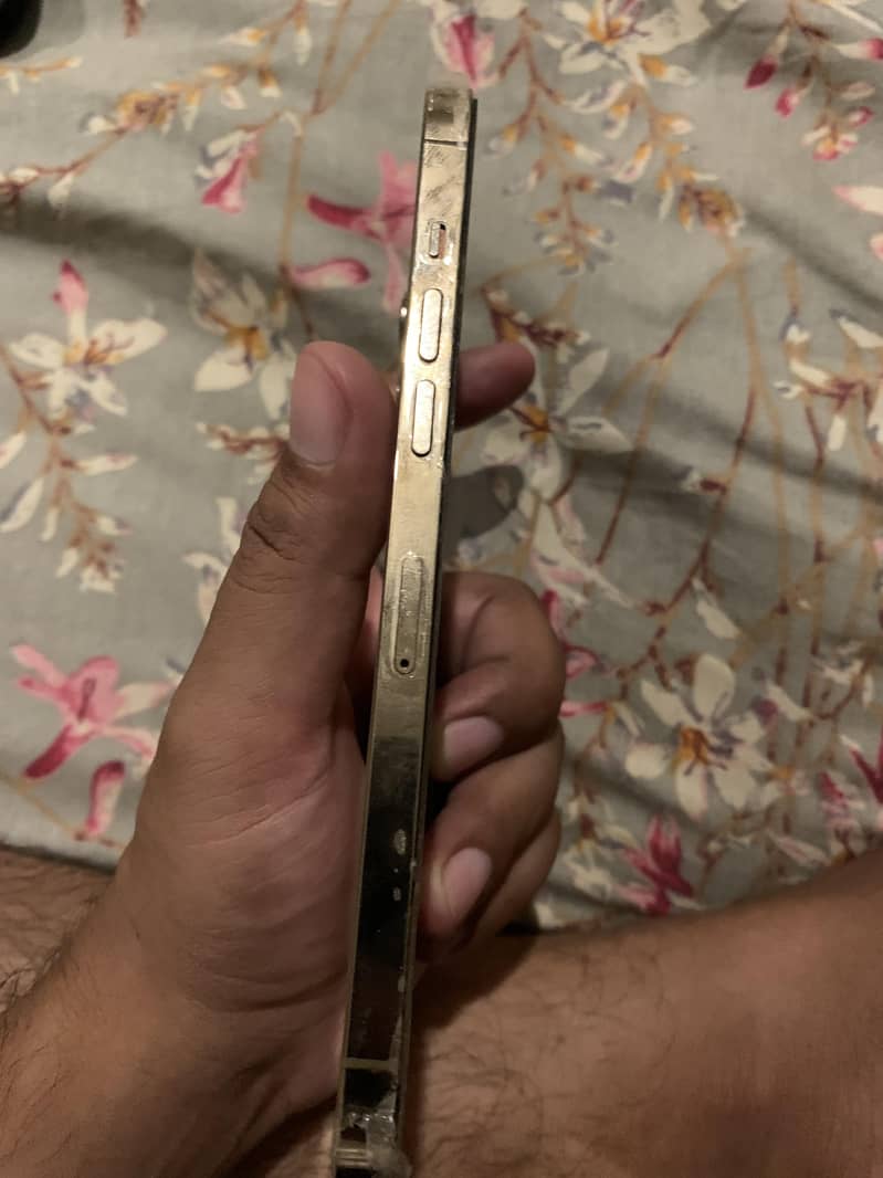 Apple iPhone 12 Pro Max 2
