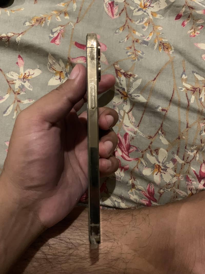 Apple iPhone 12 Pro Max 3