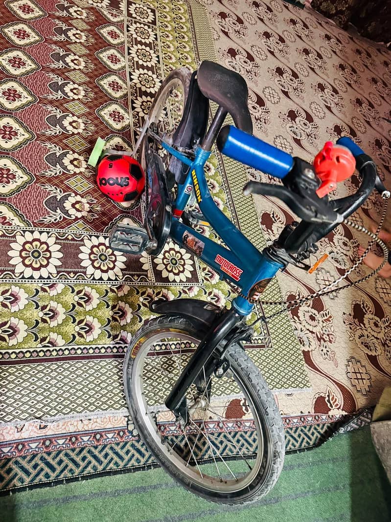 japani cycle 1