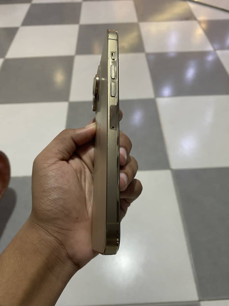 Apple iPhone 13 Pro Max 1