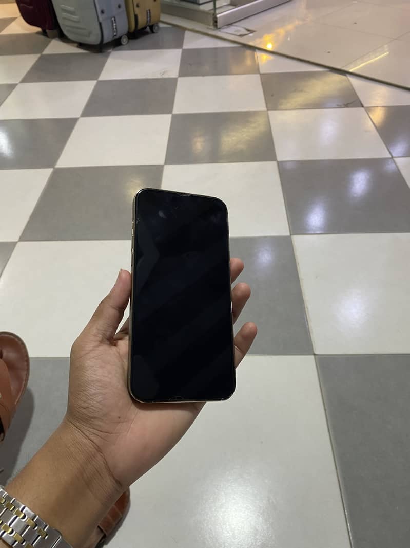 Apple iPhone 13 Pro Max 2