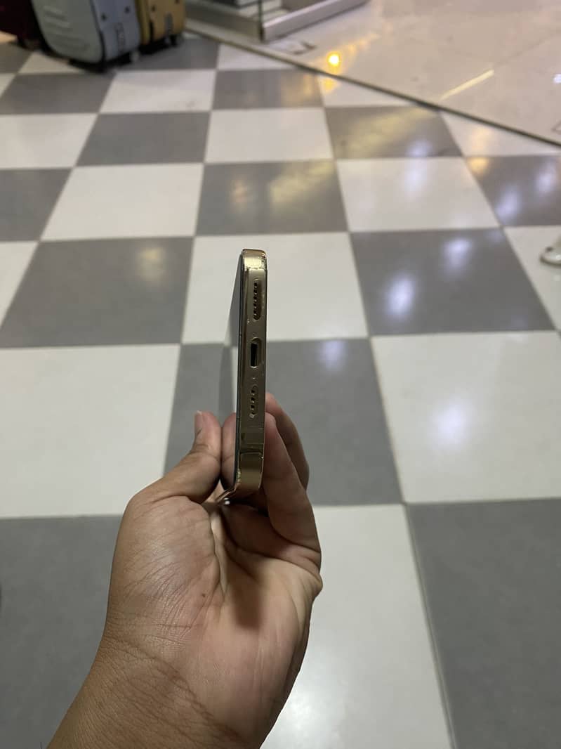 Apple iPhone 13 Pro Max 4