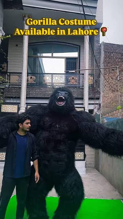 Gorilla costume 9 ft Height