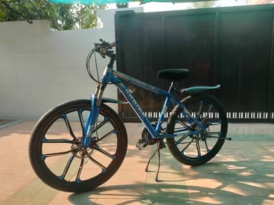 mountain bicycle
