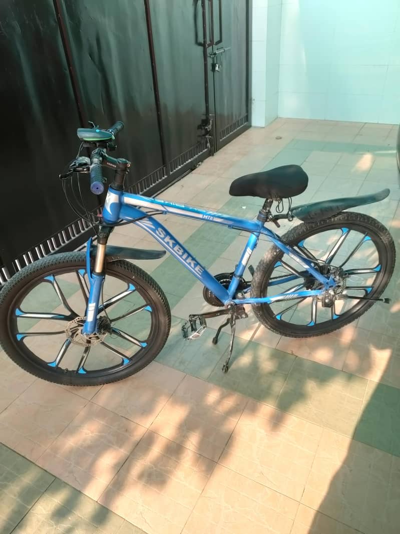 mountain bicycle 1