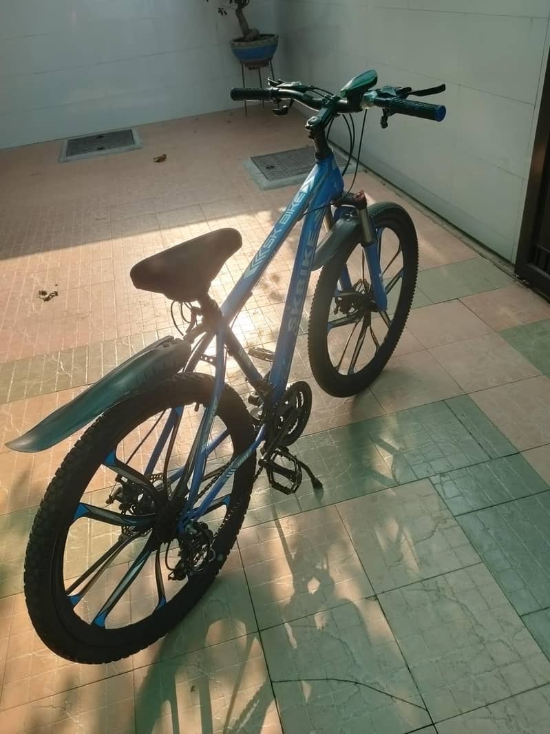 mountain bicycle 3