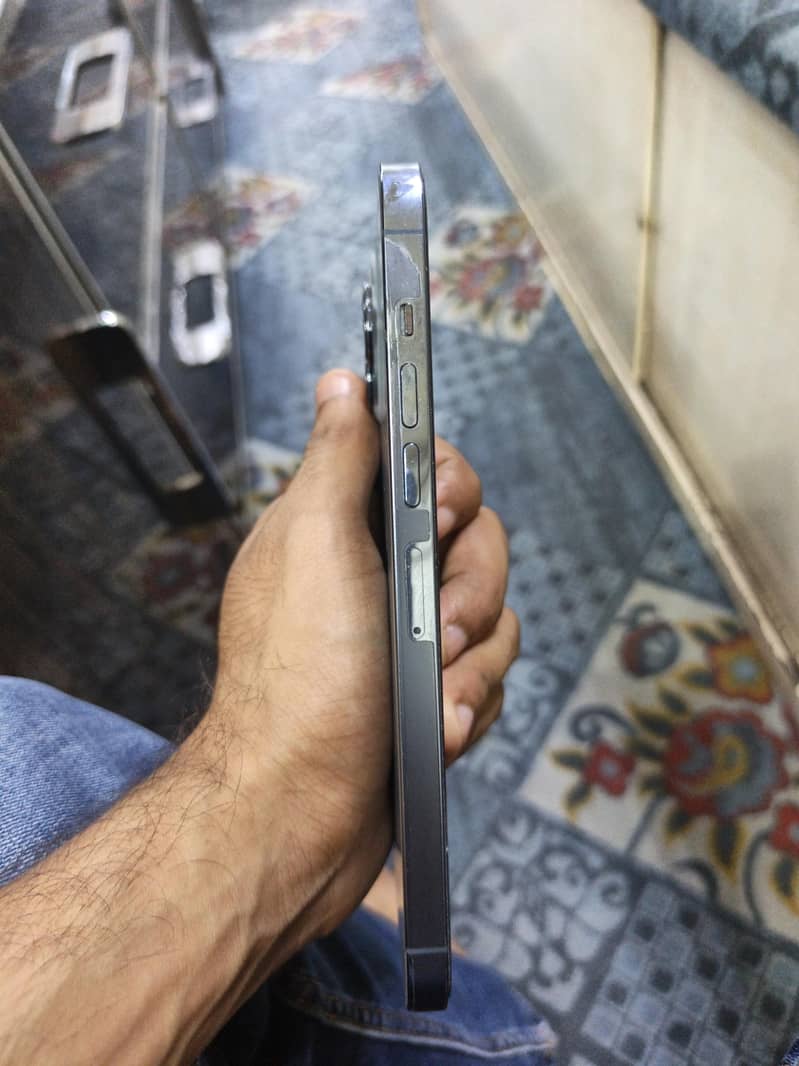 Apple iPhone 13 Pro Max 2