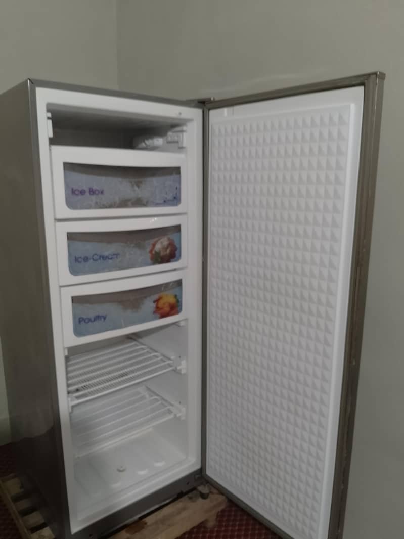 Deep Freezer 1