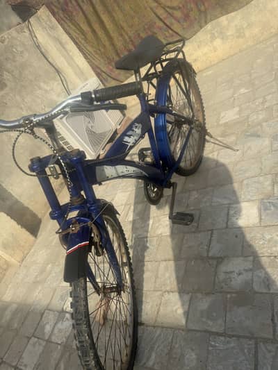 Deluxe Cycle Read Describe