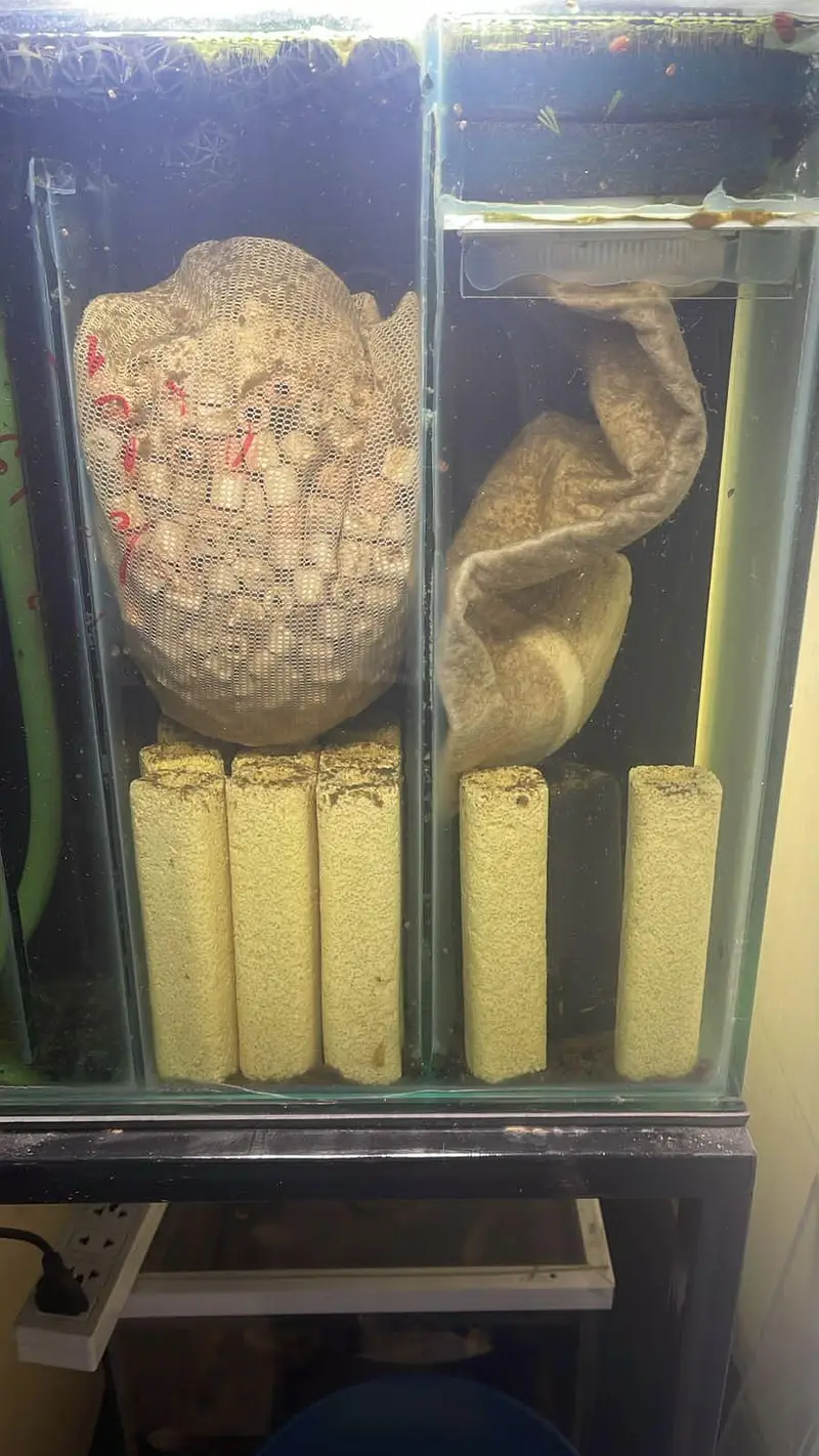 Aquarium with fishes — photo 3