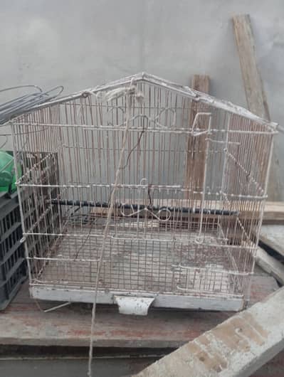 Bird Cage for Sale