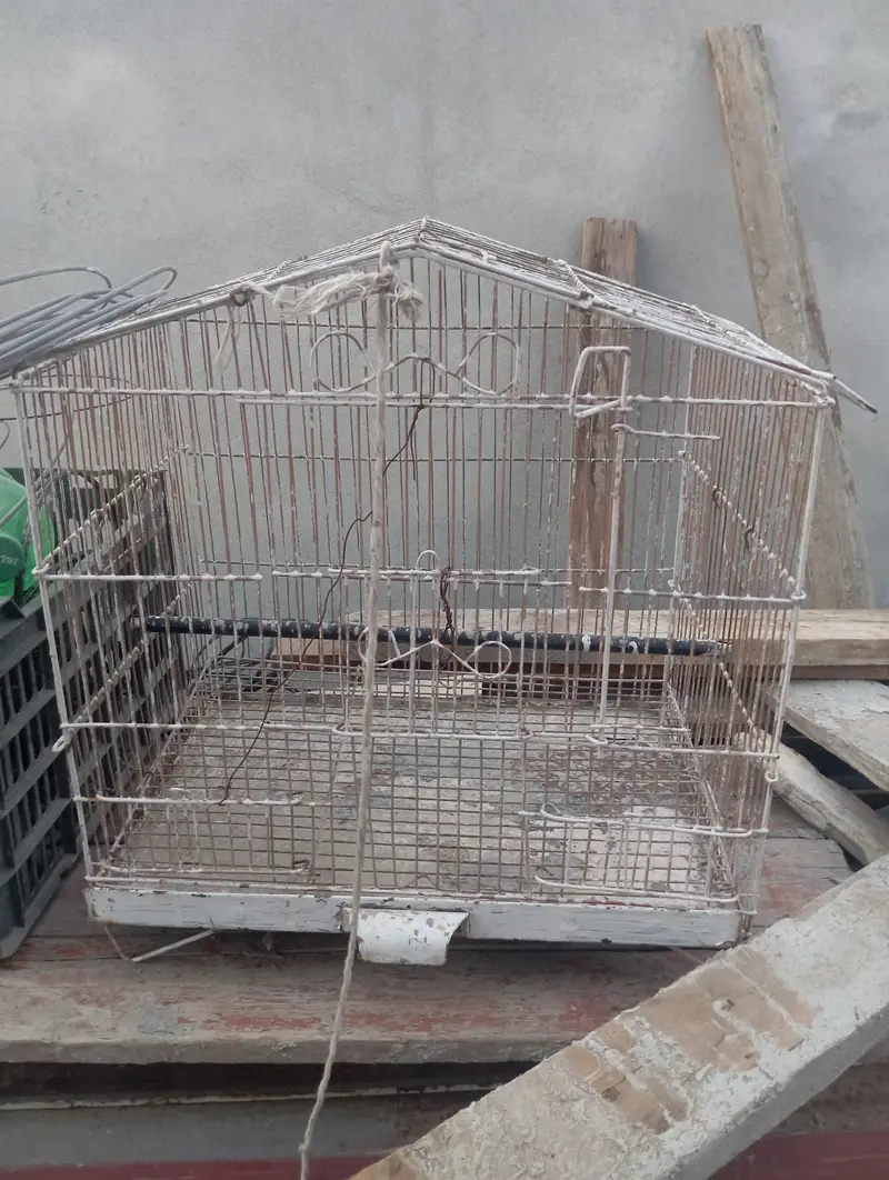Bird Cage for Sale — photo 2