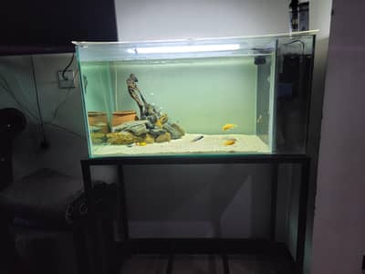 Aquarium with fishes