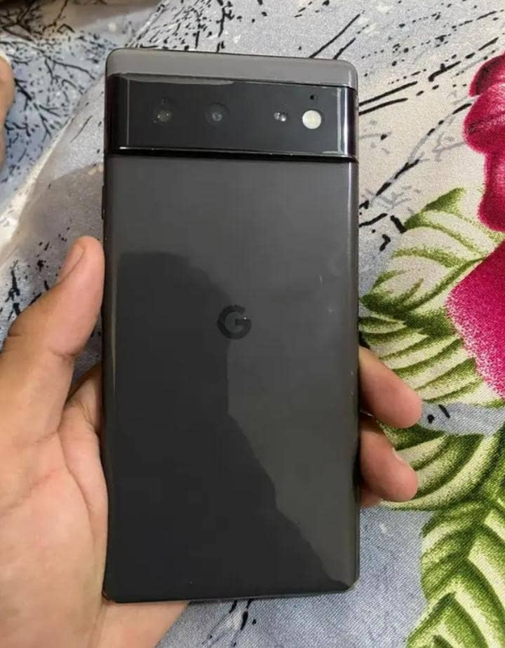 Google Pixel 6 panel 0