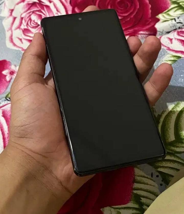 Google Pixel 6 panel 1