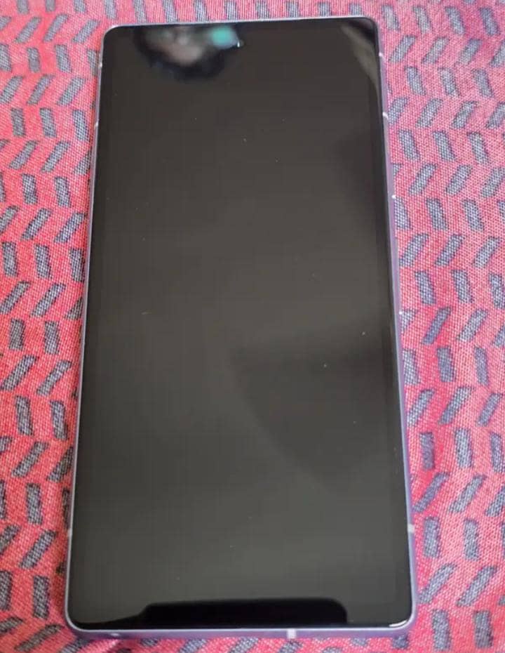 Google Pixel 7a panel 2