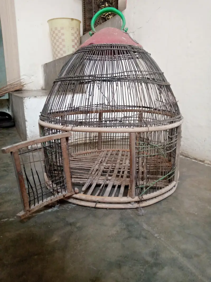 Teetar Cages For Sale — photo 6