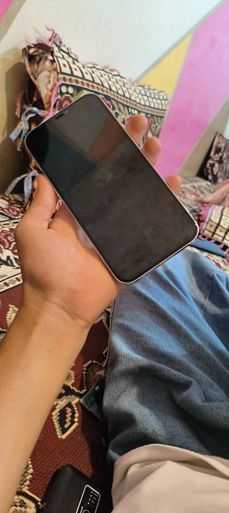 Apple iPhone 12 Pro Max 1