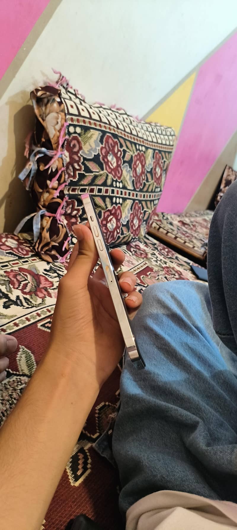 Apple iPhone 12 Pro Max 2