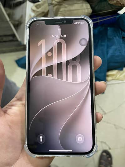 Apple iPhone 12 Pro Max