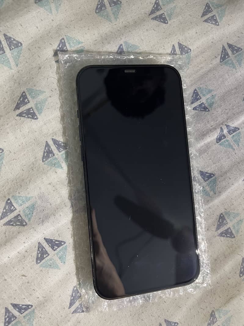 Apple iPhone 12 Pro Max 1