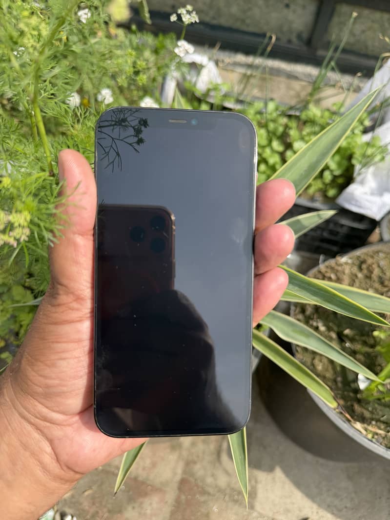 Apple iPhone 12 Pro 2