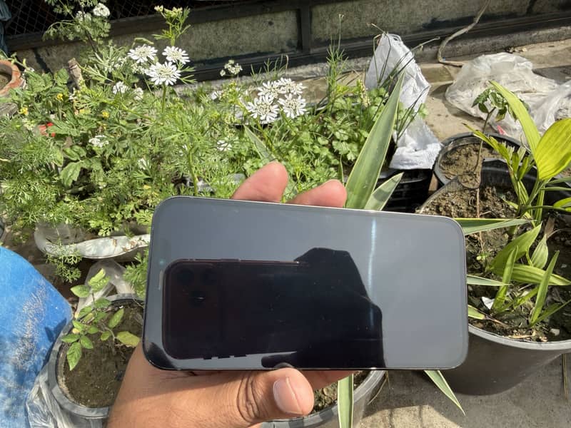 Apple iPhone 12 Pro 6