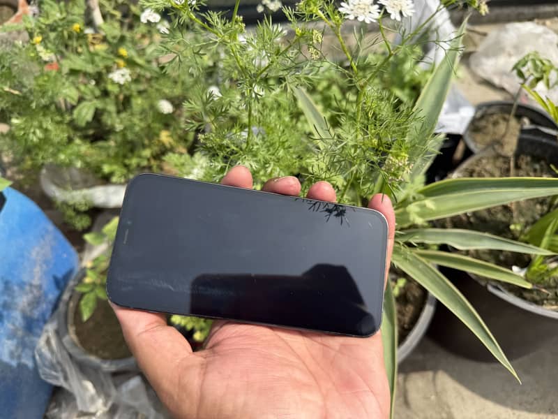 Apple iPhone 12 Pro 7