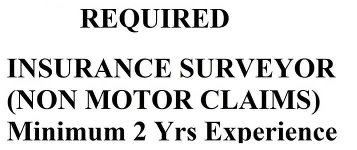 Insurance Surveyor / Loss Adjuster
