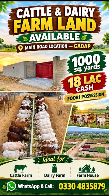 Cattle farm 0