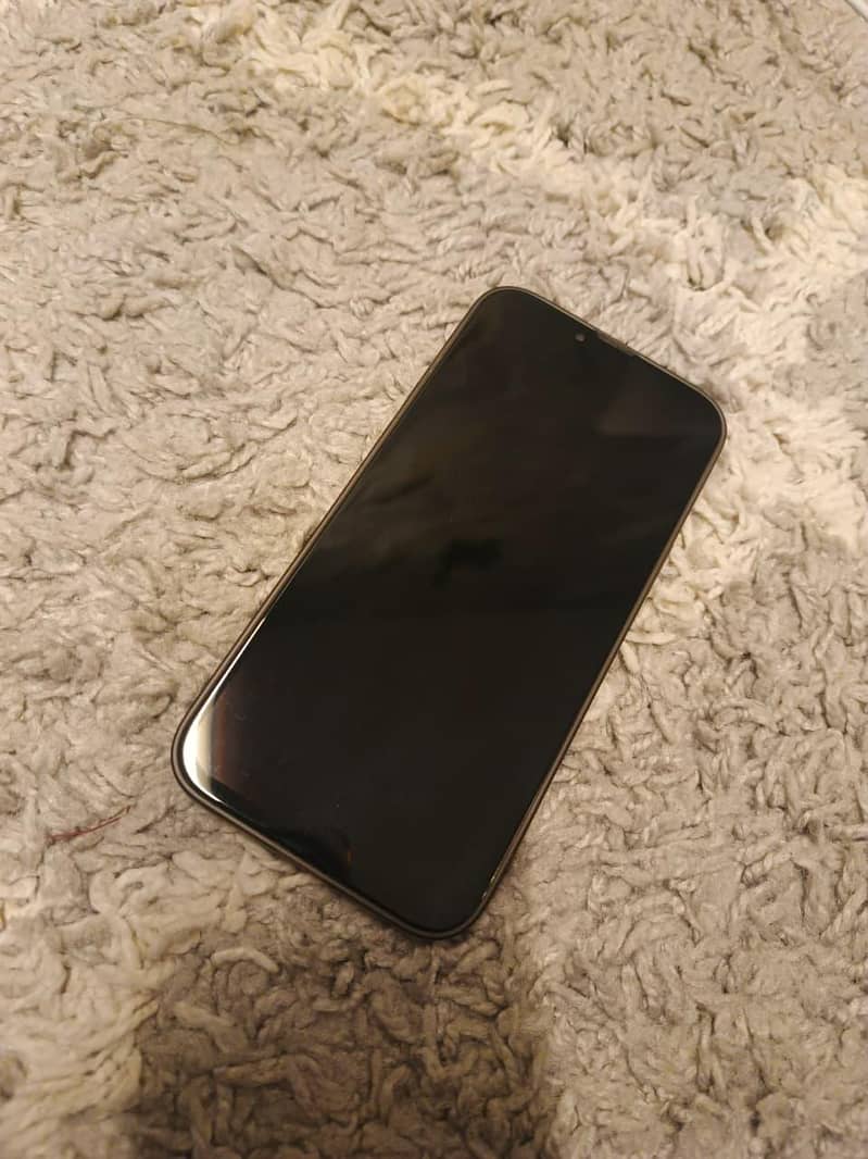 Apple iPhone 13 Pro Max 2