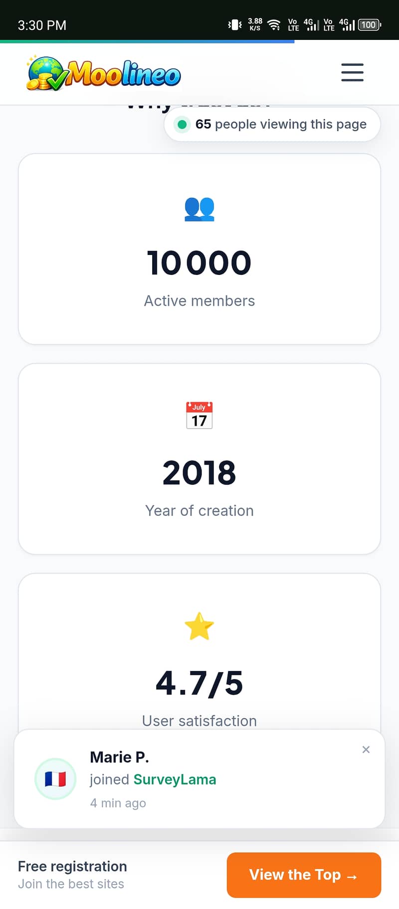 online work, surveywork 4