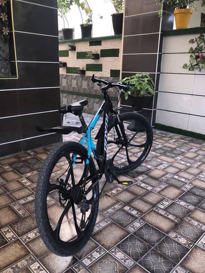 ROYAL Mountain Bike — Premium Condition