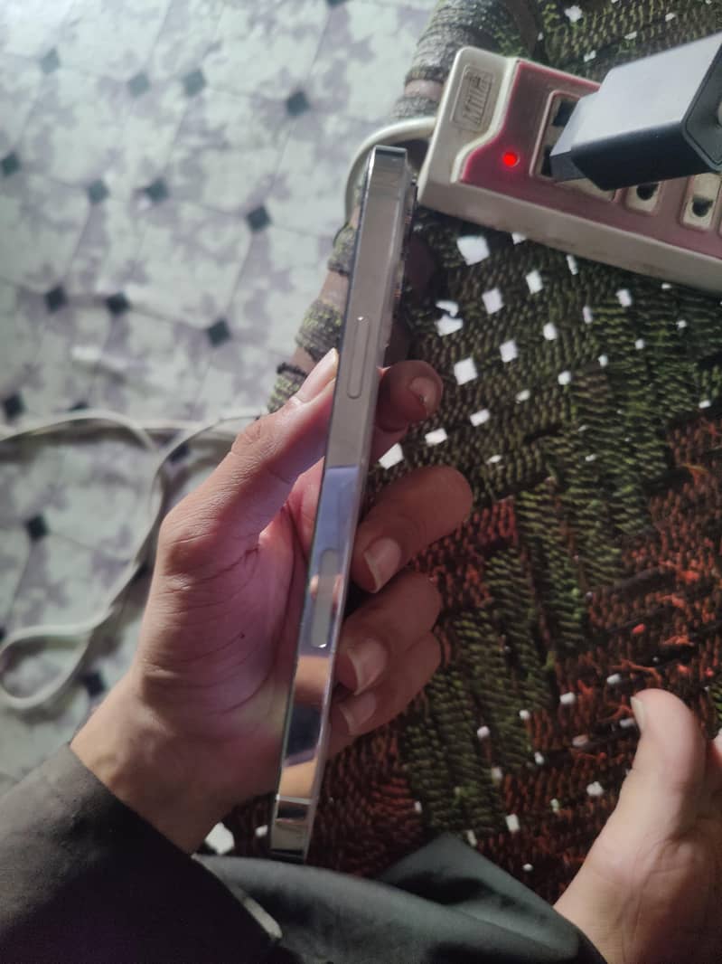Apple iPhone 13 Pro Max 2