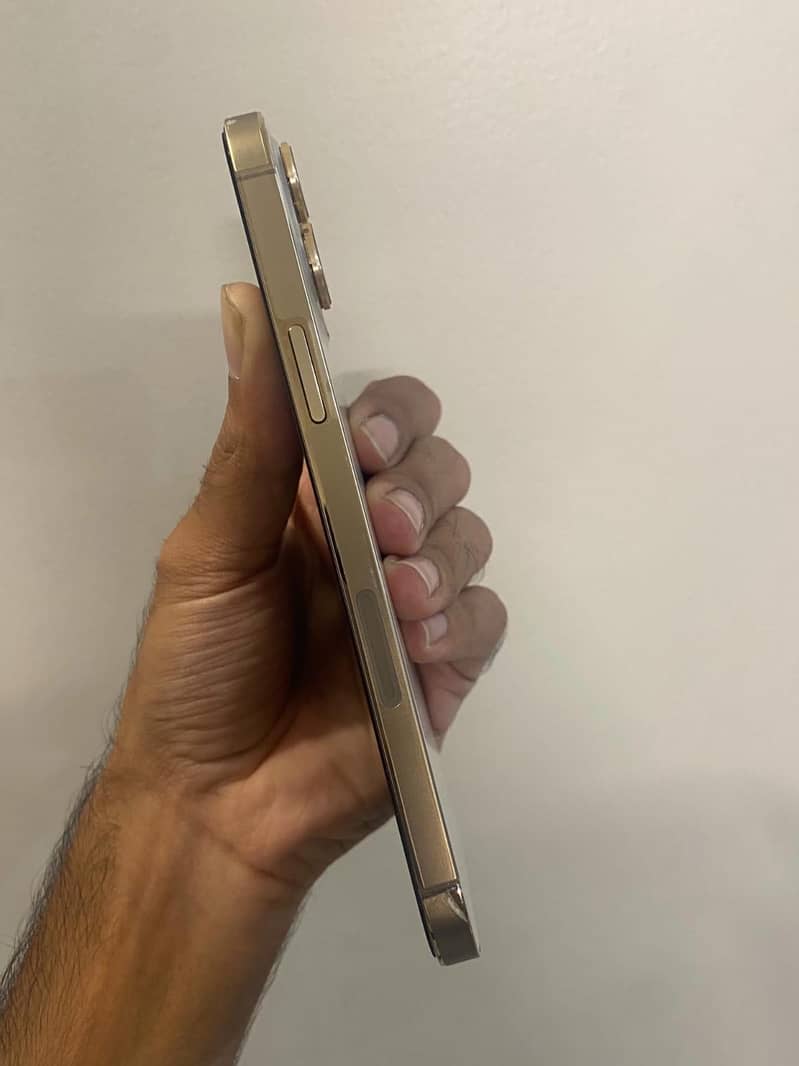 Apple iPhone 13 Pro Max 3