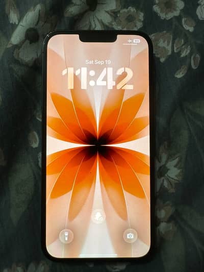 Apple iPhone 13 Pro Max