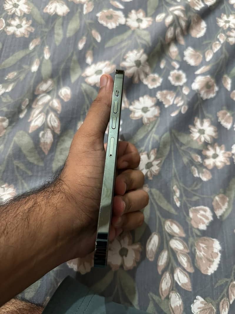 Apple iPhone 13 Pro Max 2