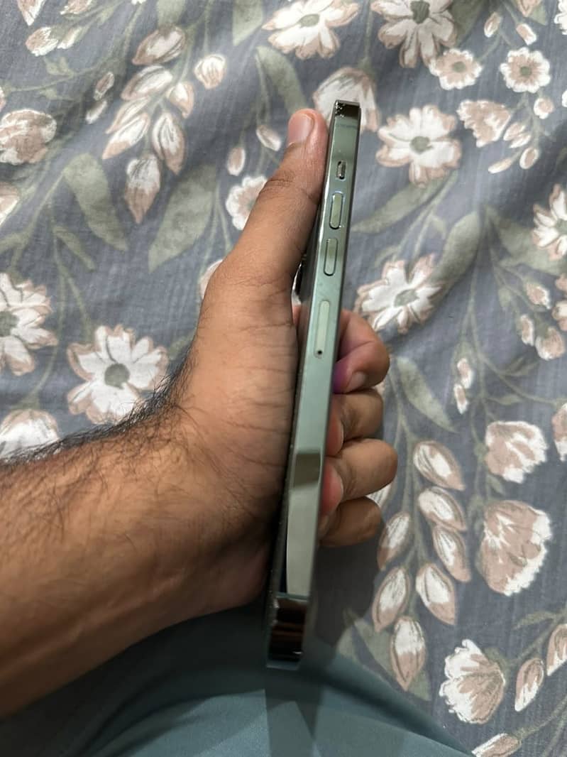 Apple iPhone 13 Pro Max 3