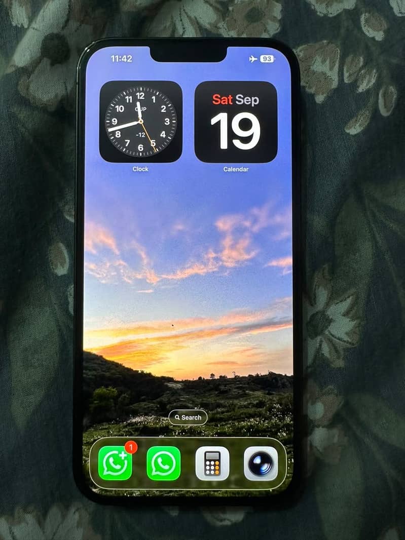 Apple iPhone 13 Pro Max 9