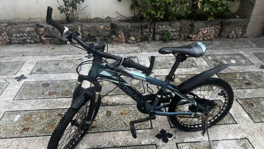 Cobalt mountain bike