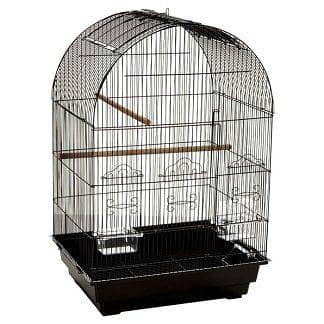 birds cage