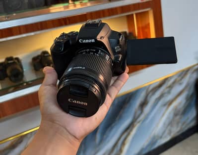 dslr Canon 250d (10/10) (4k-Ultra hd)